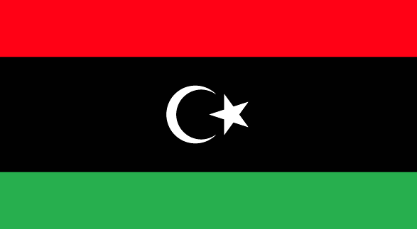 DASION Distributor (Libya)
